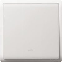 16AX 250V 1G 1W SW W FLUO LOC