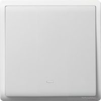 16AX 250V 1G 2W SW W/FLOU