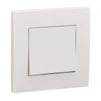 16AX 250V 1GANG 1WAY SWITCH