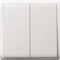 16AX 250V 2G 1W SW W FLUO LOCATOR