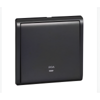 20A 250V 1 GANG DOUBLE POLE SWITCH WITH