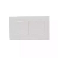 TWIN GANG BLANK PLATE