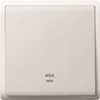 45A 1 G DP/S WITH NEON