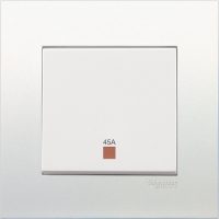 45A 250V DOUBLE POLE SWITCH WITH NEON